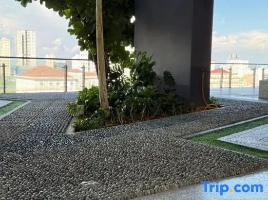 Tropicana 218 Premier Suites by ALV - photo 2
