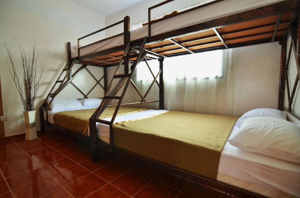 Camelia House - photo 6