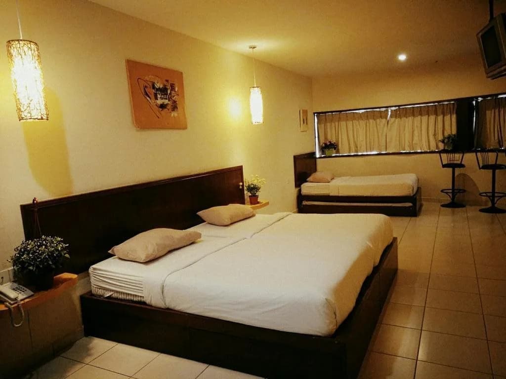 Newbridge Hotel - photo 3