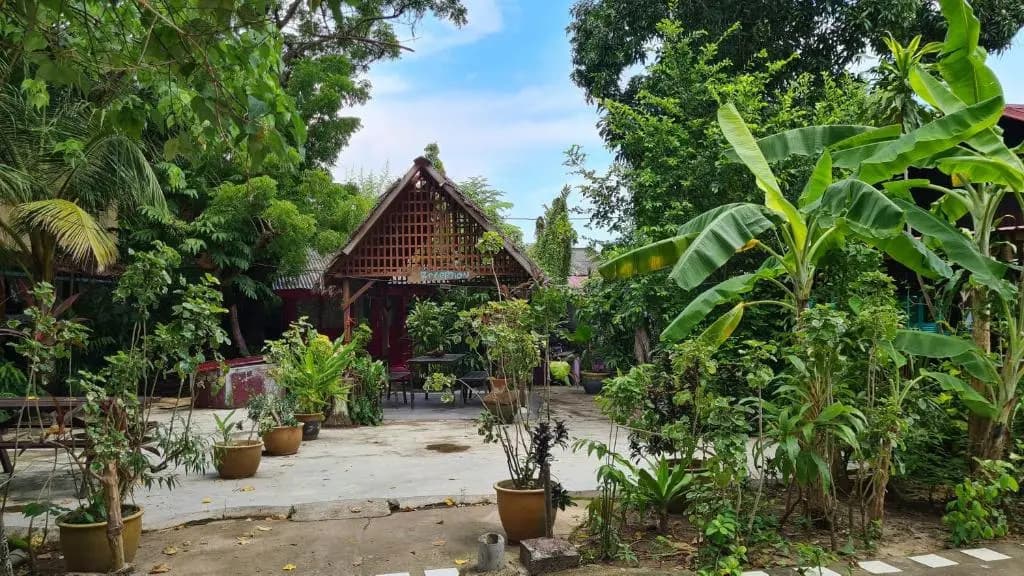 Gecko Guesthouse Langkawi - photo 2
