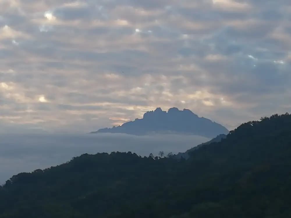 Amazing & Harmony Stay - photo 19