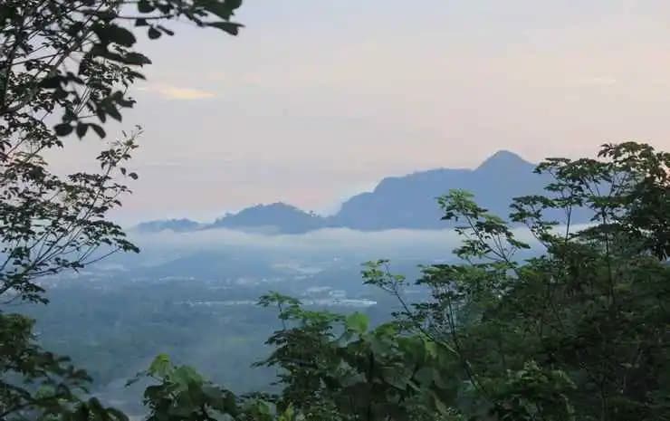 Gibbon Retreat Bentong - photo 1