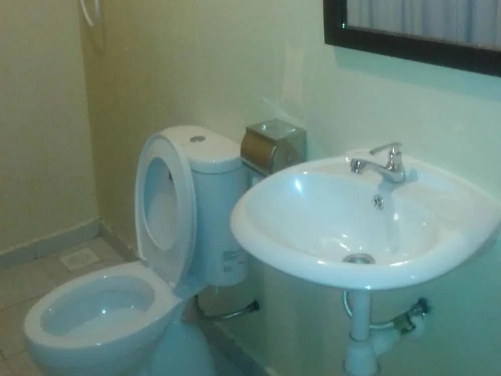 Hotel Double Star Klang - photo 5