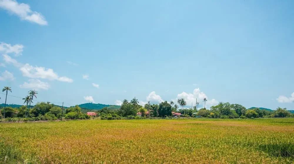 ZEN Home Villa Tepi Bendang - photo 7