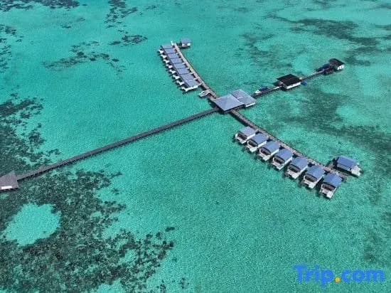Sagittarius Resort - photo 26