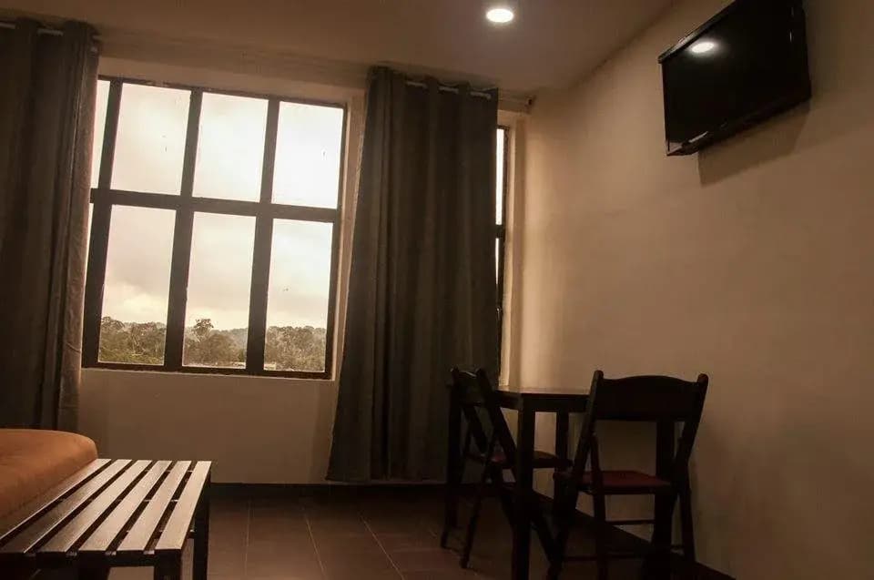 Cosy D Accommodation - photo 7