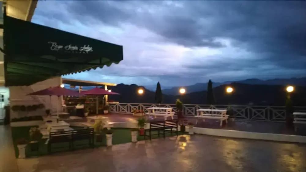 Bayu Senja Lodge - photo 11