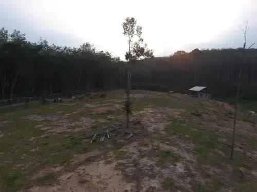 Chalet Kampong Semawar - photo 17