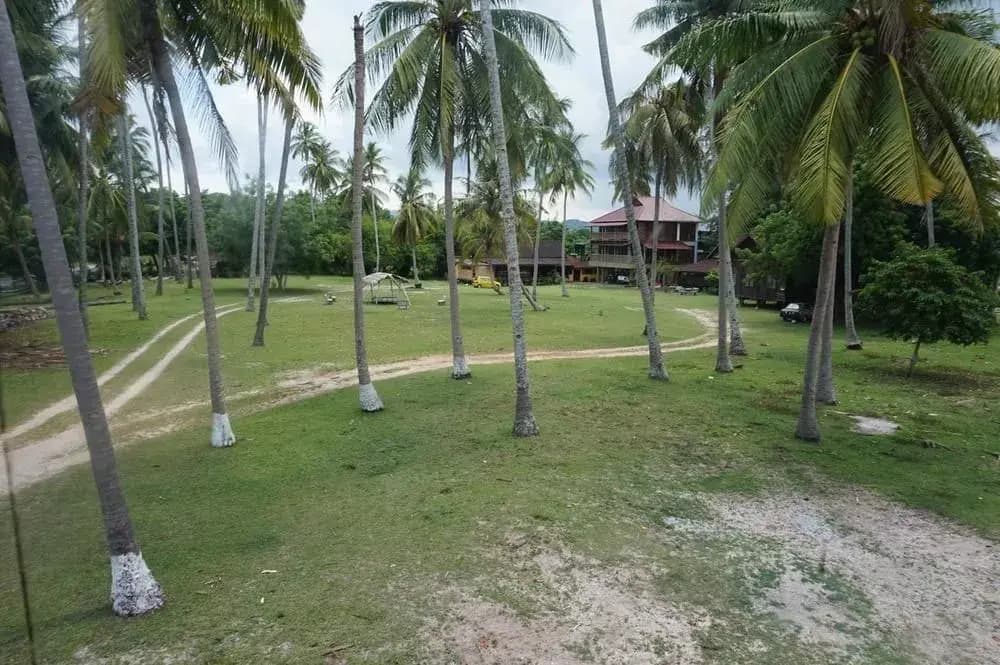 Honey Badger Hut Langkawi - Hostel - photo 9