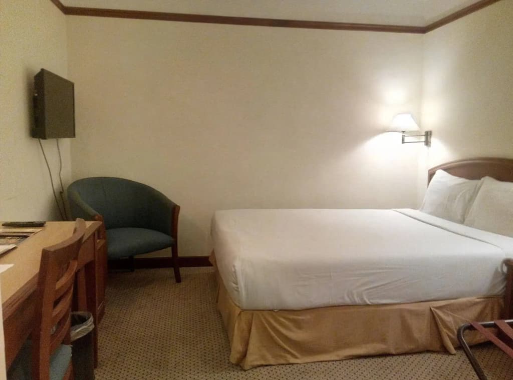 Mandarin Court Hotel - photo 6