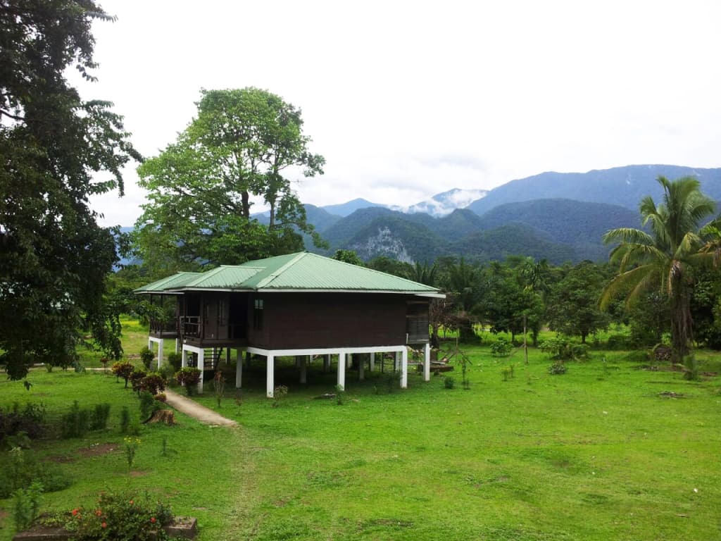 Benarat Lodge - photo 6