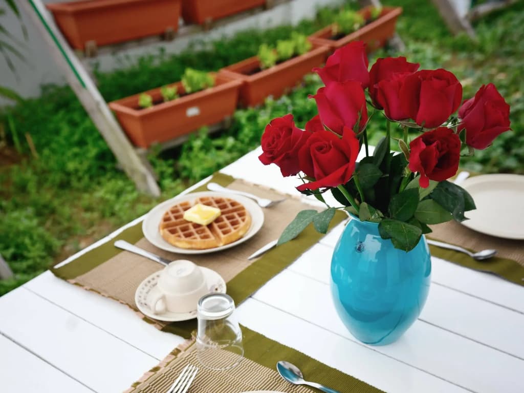 Eco Bed and Breakfast - photo 10