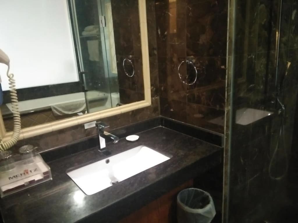 Meritz Hotel - photo 8
