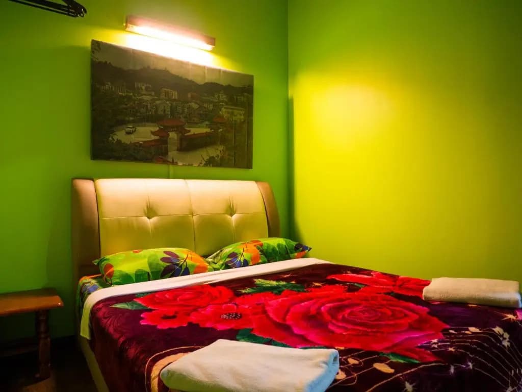 Orchid Haven - photo 4
