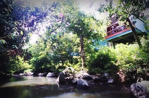 Tabin Wildlife Resort - photo 12