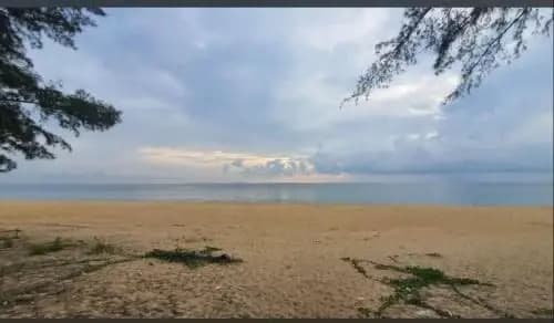 HomestayTamim Seaview Hotel Paka - photo 3