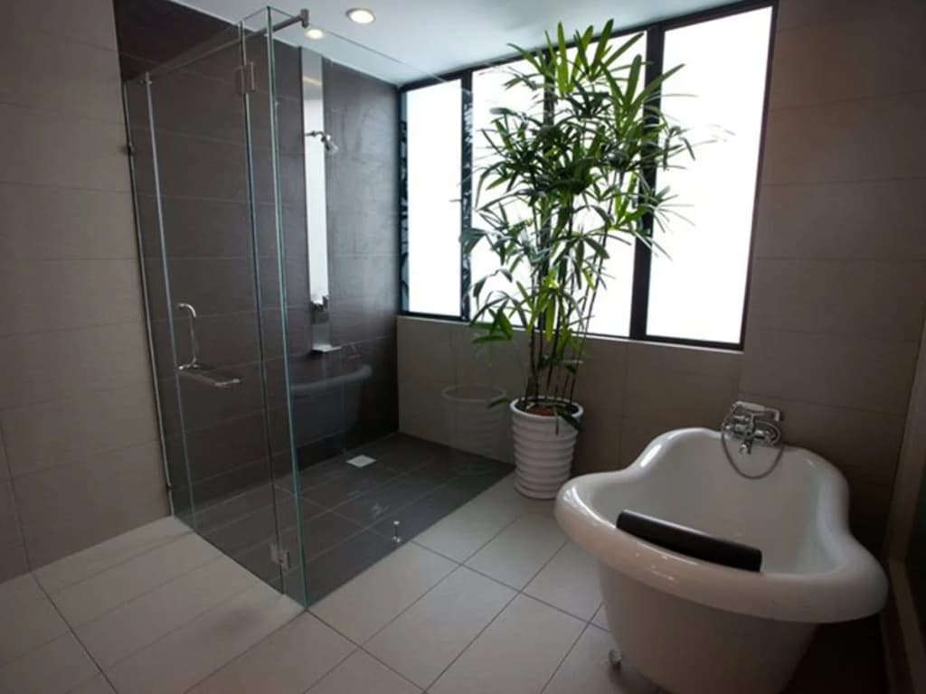 Pinetree Hotel - photo 8