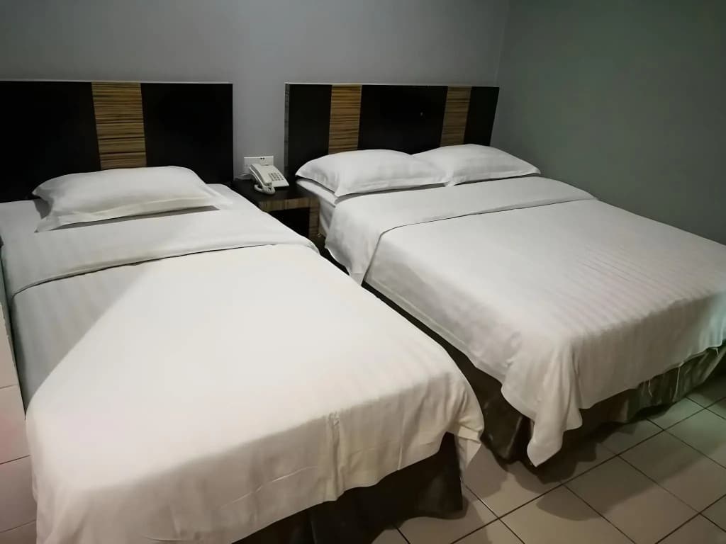 Hotel Traveller - photo 4