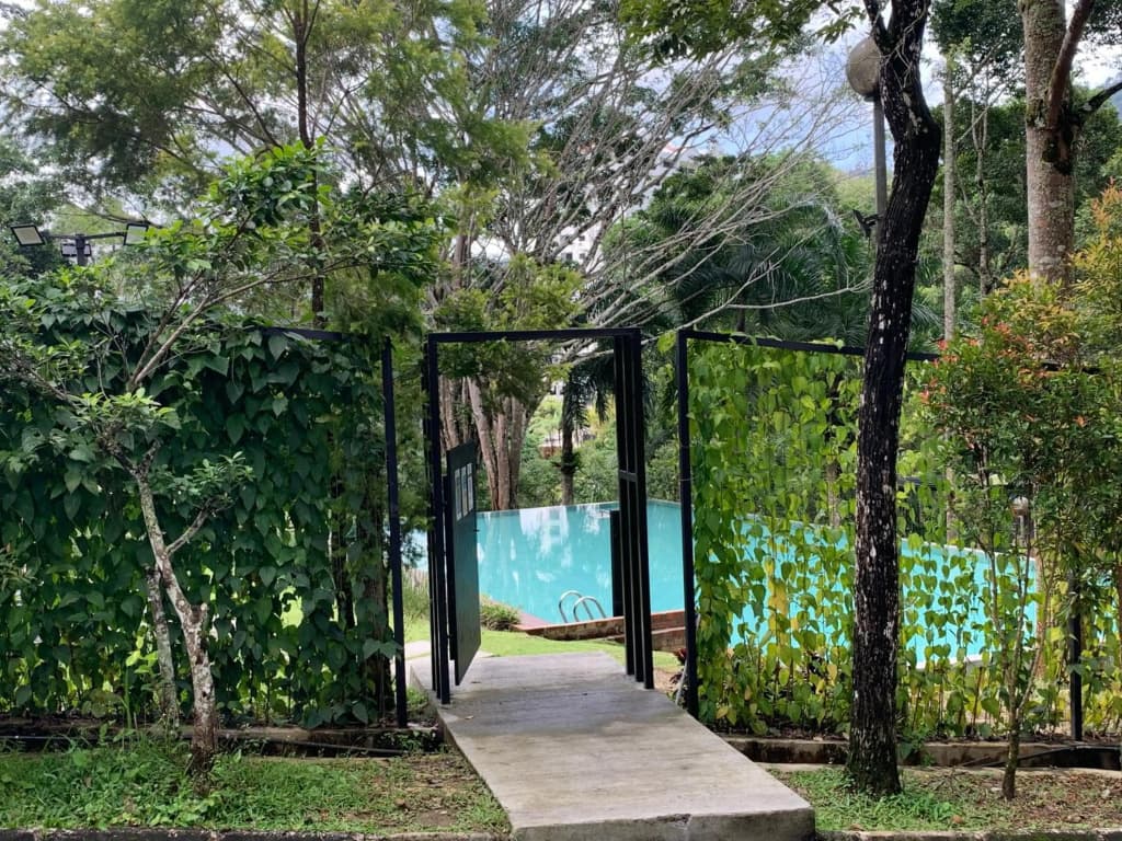 Paul 2 bedroom Kempas D2-904 or D2-804 comfort apartment - photo 16