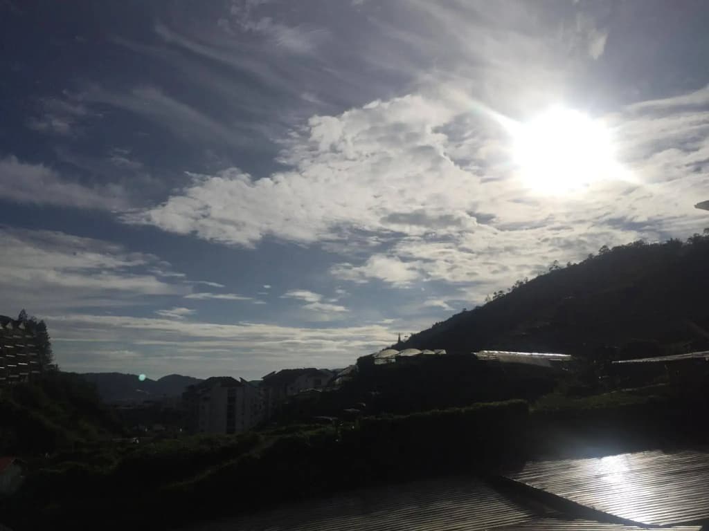 Kea Garden Guesthouse - photo 13