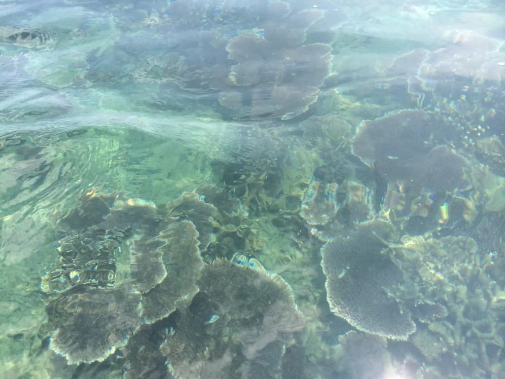 Damai Tioman Resort - photo 3