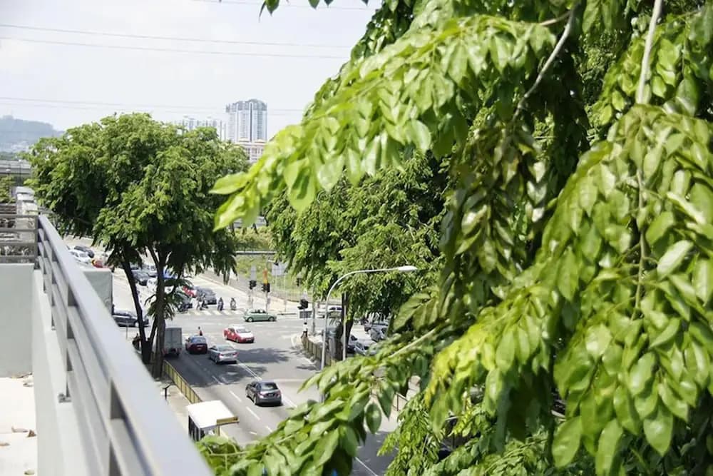 OYO 264 City Edge Hotel - photo 14