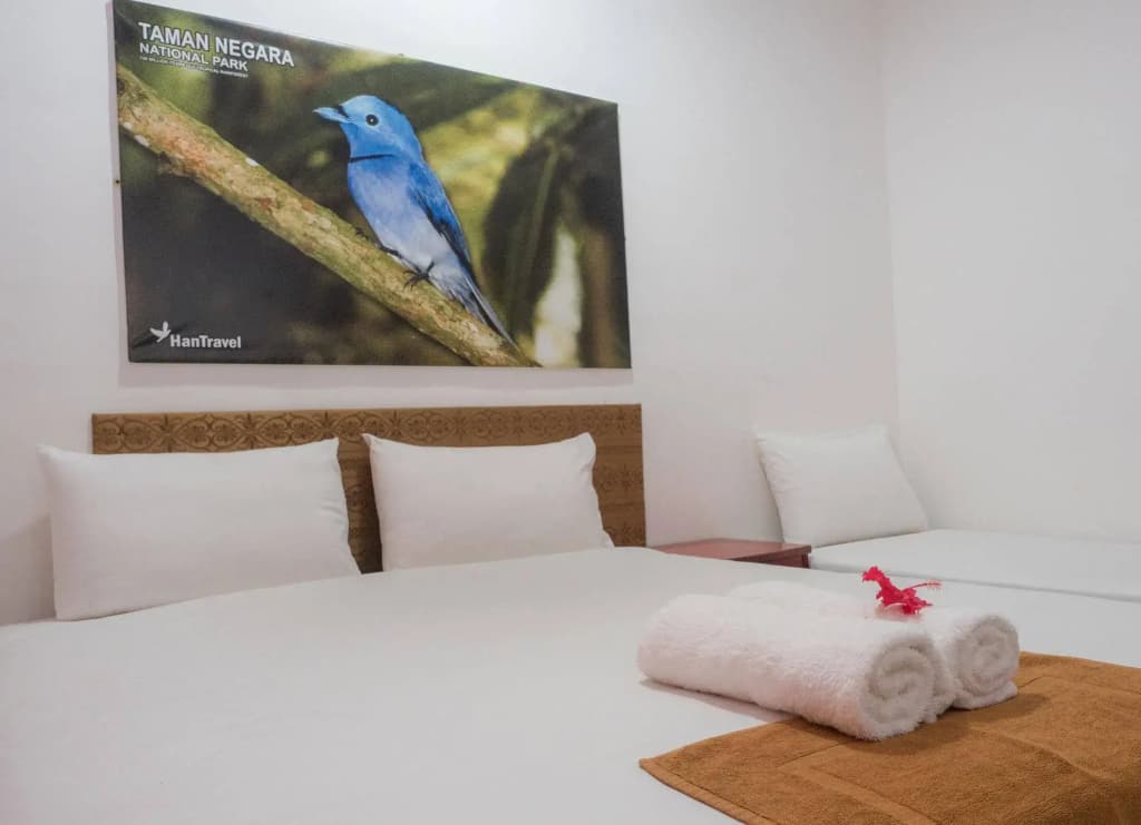 Han Rainforest Resort - photo 5