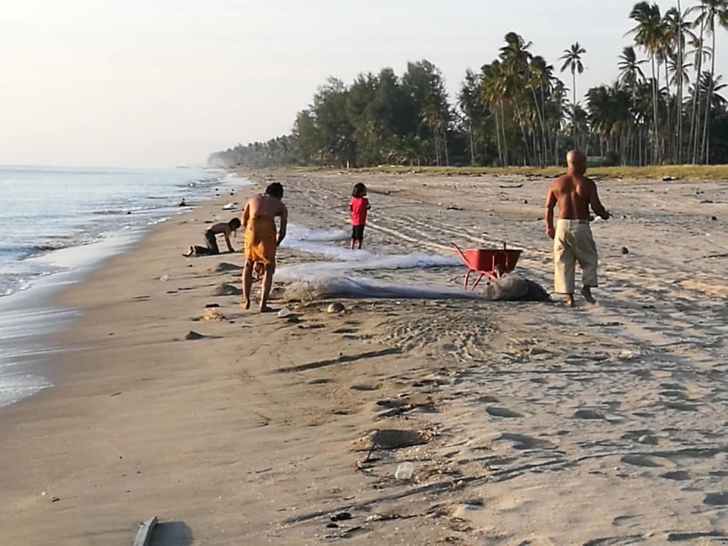 ALA Beach Lodge - Markisa Homestay - photo 12