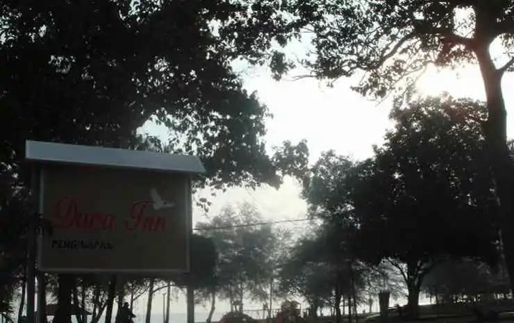 Dara Inn - photo 11