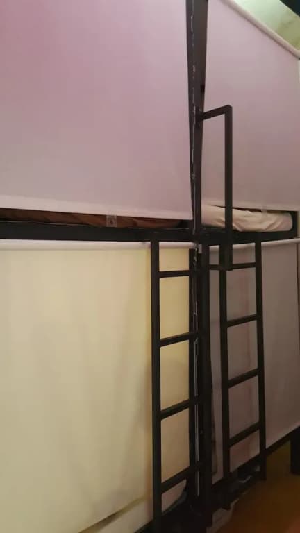 28Bahari - photo 10