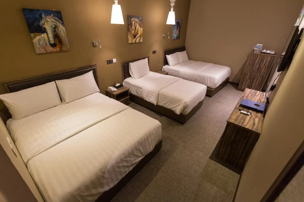 Z Hotel - photo 25