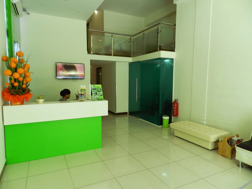 Green Apple Boutique Hotel - photo 2