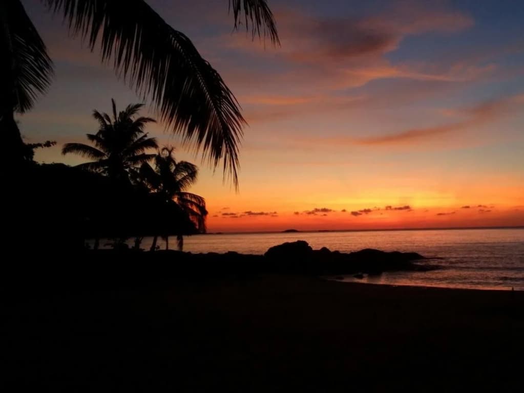 Tamara Resort - photo 8