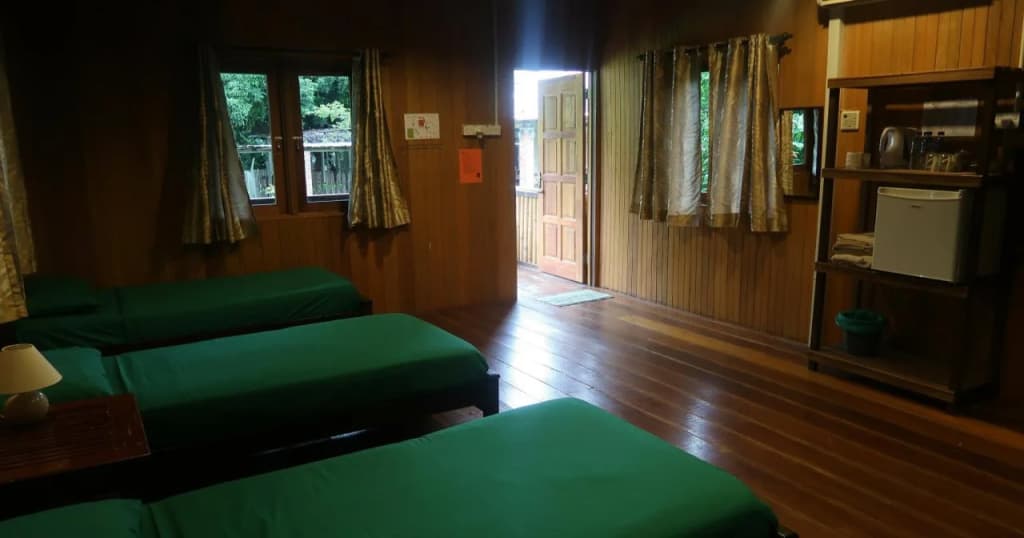 The Roots Eco Resort - photo 4