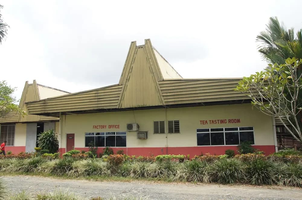Sabah Tea Resort - photo 35