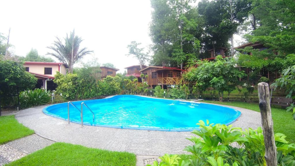 Borneo Tree House - photo 12