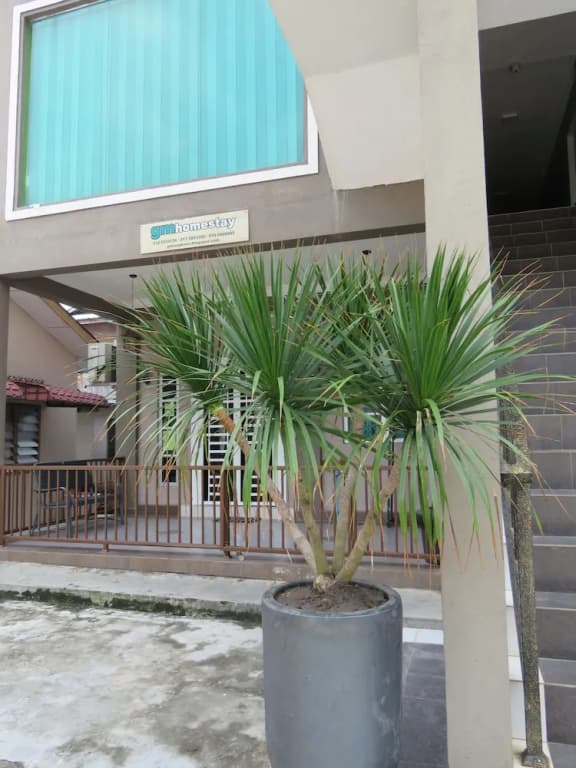 GM Homestay Kelibang - photo 14