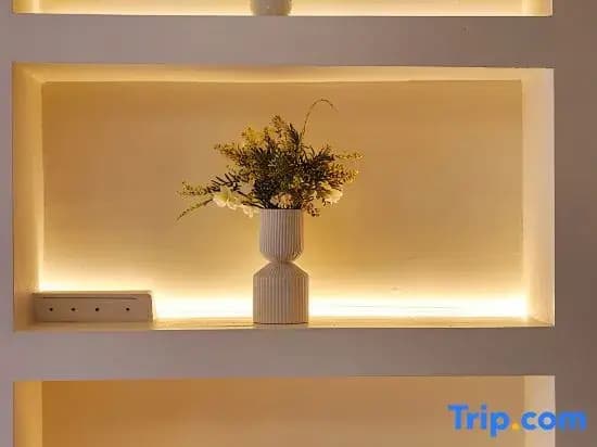 Space Residency 5Star Luxury Stay - photo 6