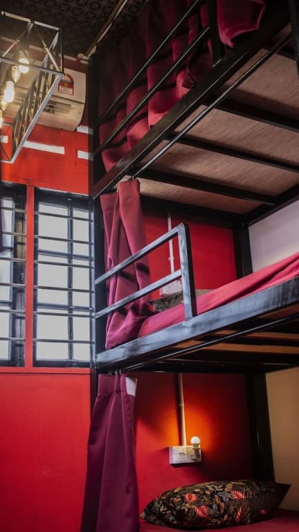 House of Lion Hostel and Guesthouse - photo 3