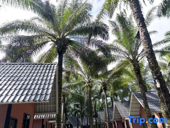 Nature Resort - photo 1
