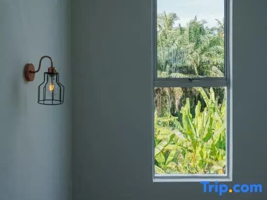 Secret Garden Homestay - photo 7