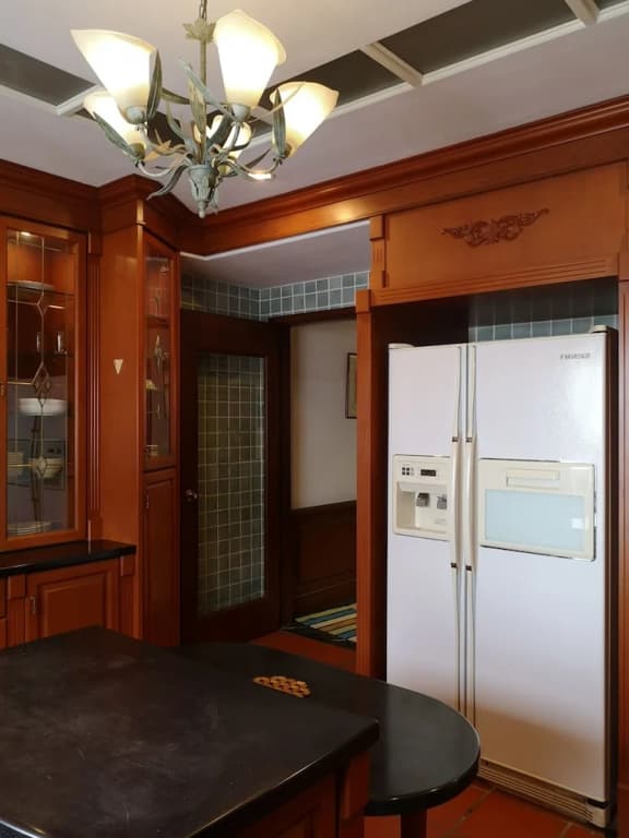 Most Luxurious Penthouse - photo 14