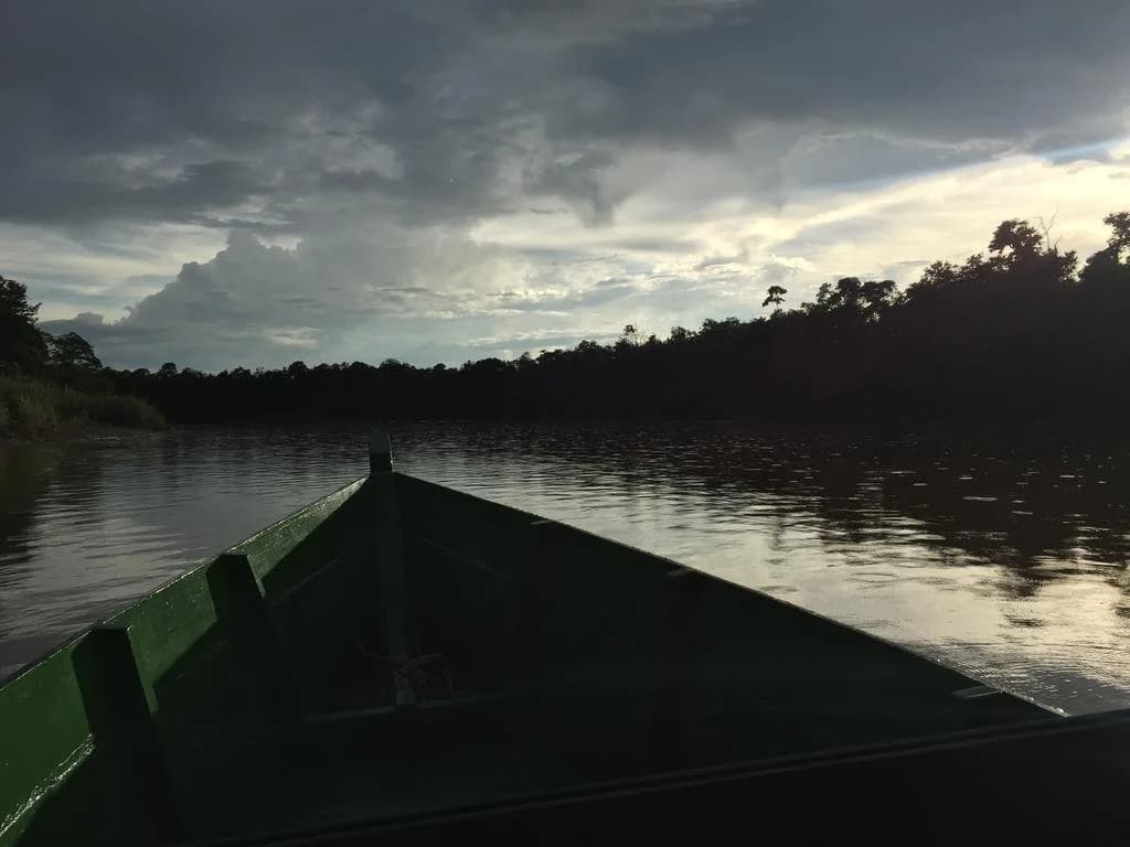 Bilit Rainforest Lodge - photo 9
