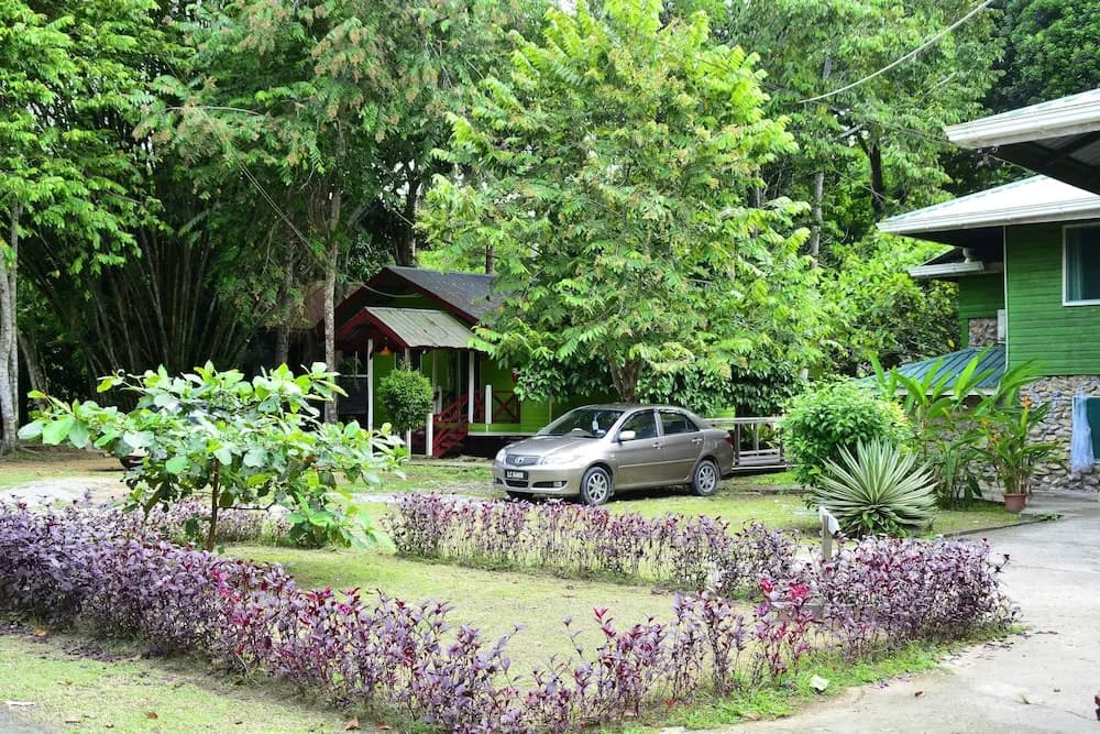 Sukau Greenview Bed and Breakfast - photo 6