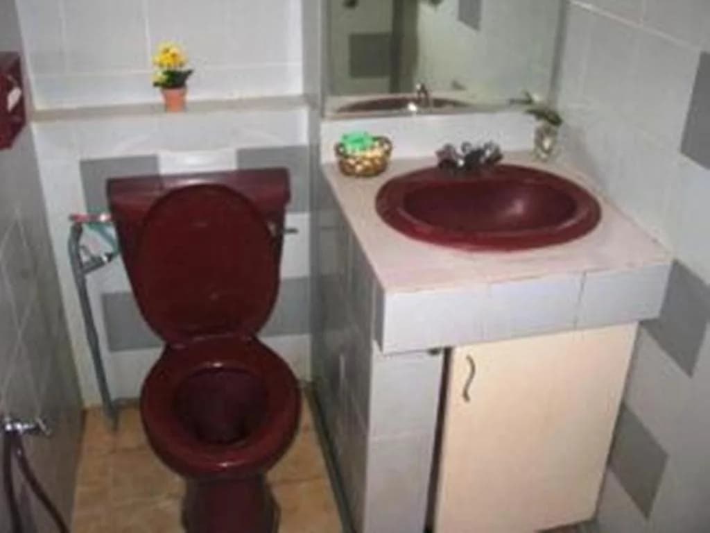 The University Inn - photo 4