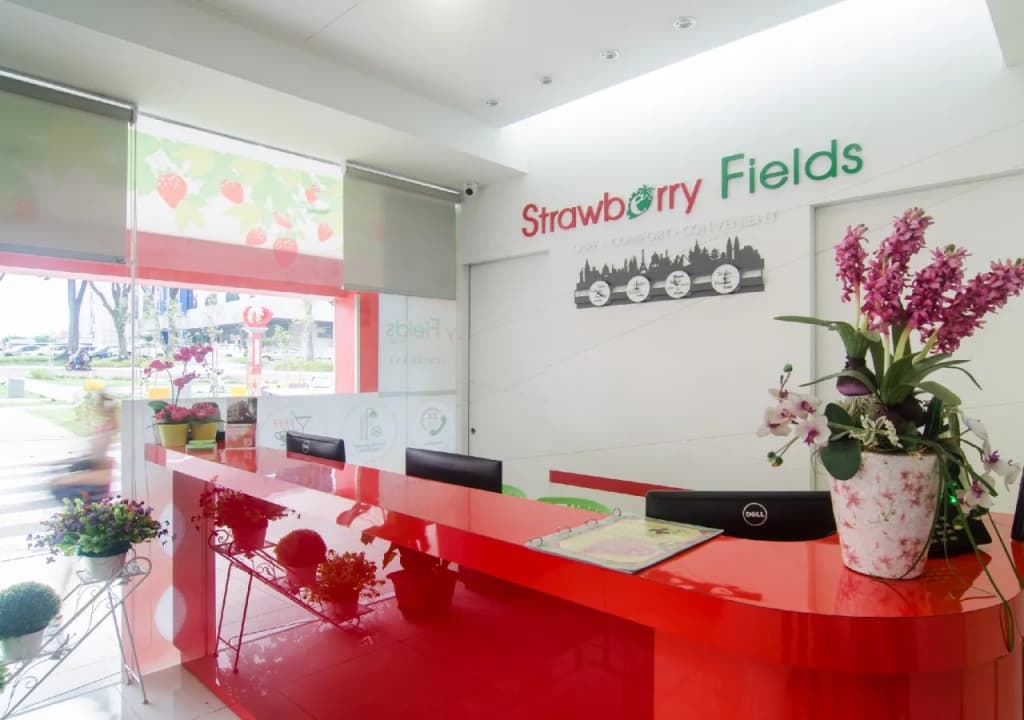 Hotel Strawberry Fields - photo 22