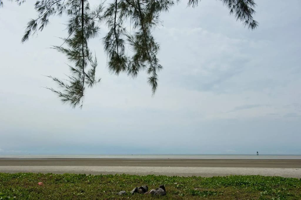 Seri Bayu Resort - photo 12