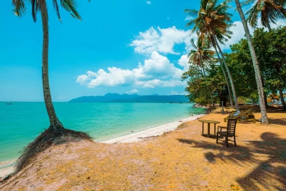 Coconut Beach Villa Langkawi - photo 14