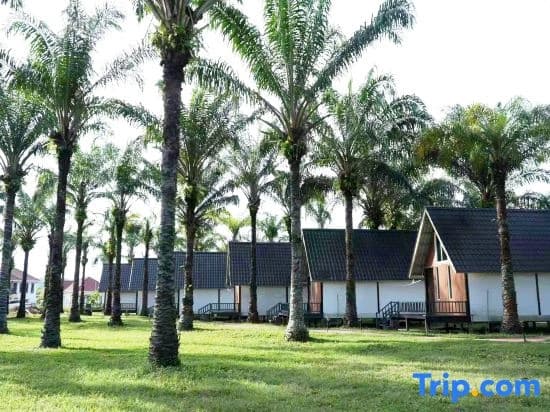Nature Resort - photo 2