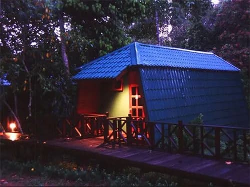 Tabin Wildlife Resort - photo 9